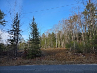 27 Wakefield Rd Unit 27, Newfield, ME 04056