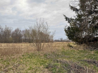 V/L C-1 Cork Rd, Morrice, MI 48857