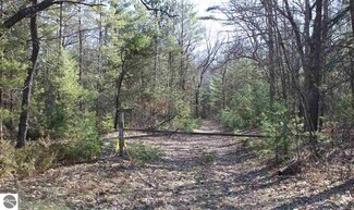 000-024-00 Loud Drive 77 Acres, Oscoda, MI 48750