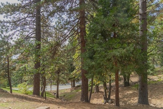 0 Circle View Dr Unit 219128298DA, Running Springs, CA 92382