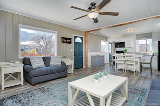 116 N Court St, Buena Vista, CO 81211