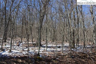 TBD Junaluska Rd, Boone, NC 28607