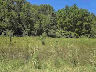 0000 Stonewall, Sour Lake, TX 77659