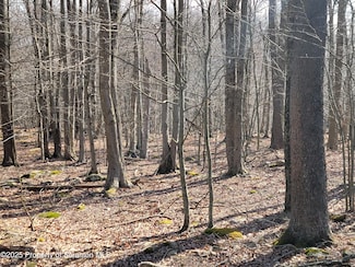 Lot 17 Navajo Path, Pocono Springs, PA 18424