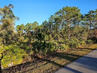 42169 Tamarac St, Eustis, FL 32736