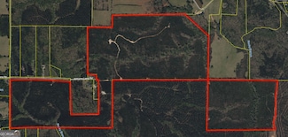 770 Williams Lane Rd, Shiloh, GA 31826