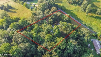197 Wedgewood Ln, Spring City, TN 37381