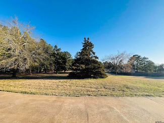 17807 Summerhill Cir, Flint, TX 75762