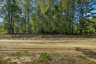 0 New Bridge Rd, Nichols, SC 29581