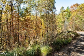 Tbd 000 Blackberry Hill Ln, Mountain City, TN 37683