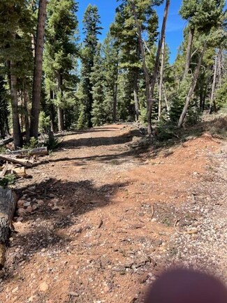 975 W Raspberry Ln, Duck Creek Village, UT 84762
