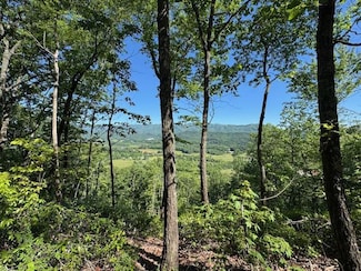 00 Coalville Rd, Marble, NC 28905