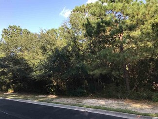 23 Dune Oaks Dr, Georgetown, SC 29440