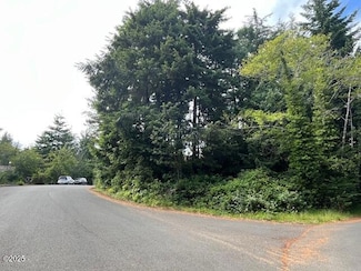 TL 300 SW Dolores Dr, Waldport, OR 97394