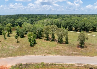 885 Stone Chimney Rd (Lot 8 Cr 3608), Bullard, TX 75757