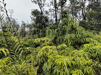 0 Kaleponi Dr Unit 721768, Volcano, HI 96785