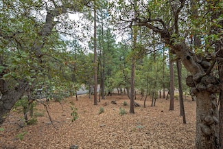 98 Trail End, Pine, AZ 85544
