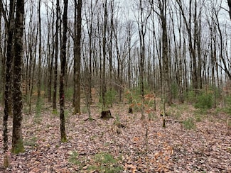 1.1 Preston Hill Rd Unit 1, Camden, NY 13316