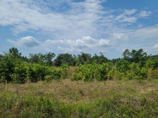 0 Rembert Church Rd, Dalzell, SC 29040