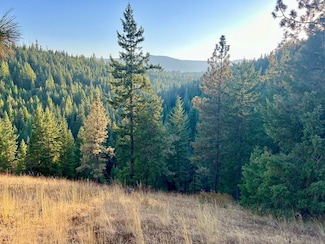 0 Craigs Cabin Rd Unit 23271510, Elgin, OR 97827