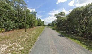 225 Georgetown Denver Rd, Georgetown, FL 32139