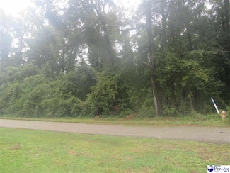 1211 Day St, Florence, SC 29506