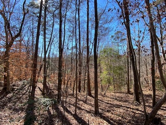0 County Road 42 Unit 11415539, Peterman, AL 36471
