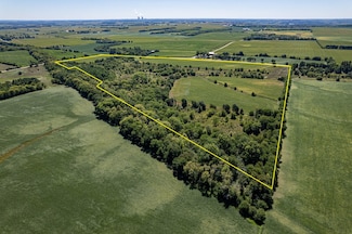 0 W Myrtle Rd Unit 18271631, Leaf River Township, IL 61047