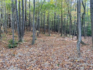 0 Lone Bear Path Unit 7679476, Dallas, GA 30132