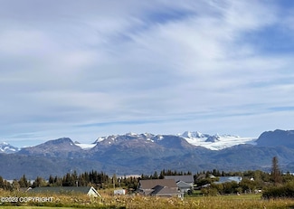 00 Basargin Rd, Homer, AK 99603