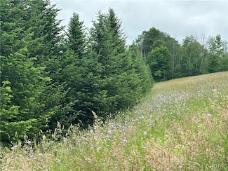 0 McGraw Marathon Rd Unit S1615101, Freetown, NY 13803