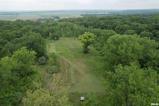 oo Illinois 78, Chandlerville, IL 62627