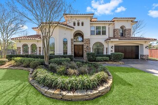 83 N Sage Sparrow Cir, Spring, TX 77389