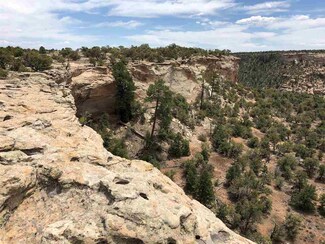 Lot 9 Rough Canyon Rd, Glade Park, CO 81523