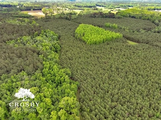Tbd Endecona Dr, Bowman, SC 29018