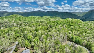 0 Highlander Trl Briarcliff Dr Unit 25-487, Caldwell, WV 24925