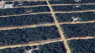 TBD Neisman Ave, Interlachen, FL 32148