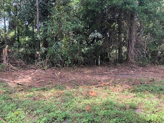130 Blue Water Beach Cir, Carrabelle, FL 32322