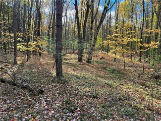 00 Wolf Creek Rd, Cuba, NY 14727