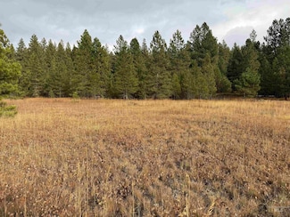 TBD S Samson Trail, McCall, ID 83638