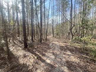 0 Lee Rd Unit 22845644, Salem, AL 36874