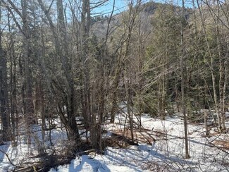 0 Route 107 Unit 5032274, Stockbridge, VT 05772