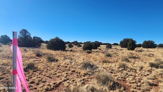 3372 E, Williams, AZ 86046