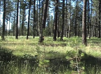 13710 E Bridges Rd, Elk, WA 99009