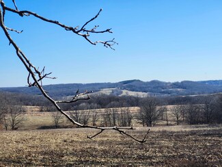 000 Tbd H Higway, Manes, MO 65711