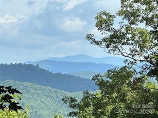 79 Peppervine Cir Unit L79, Rosman, NC 28772