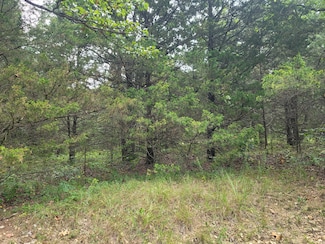 000 Graff Rd, van Buren Township, MO 65660