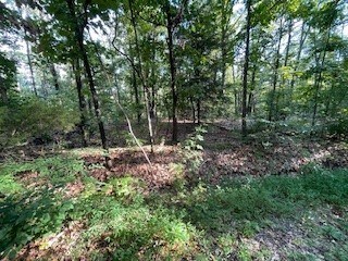 Lot 45 Rochester Dr, Bella Vista, AR 72714