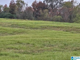 0 County Road 351 Unit 1 21402113, Maplesville, AL 36750