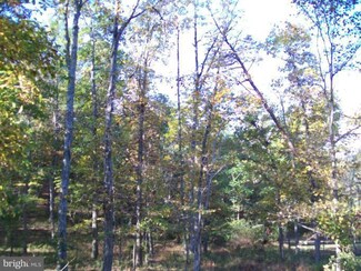 1 Mystic Dr, Franklin, WV 26807